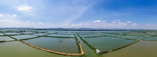 豐收在即，晝夜溫差加大(dà)，水(shuǐ)産養殖水(shuǐ)質調控不可松懈